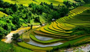 Su Yönetiminde Ekolojik ve  Dijital  Dönüşüm Gerekli