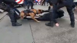Hollanda polisinden protestoculara köpekli müdahale