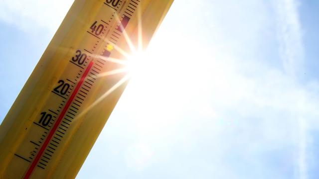 Aralık ayında termometre 27 dereceyi gördü