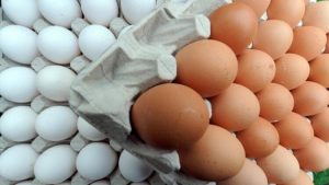 Bakanlıktan yumurta fiyatında artış şikayetlerine inceleme