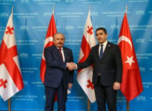 TBMM Başkanı Şentop, Gürcistan Parlamentosu Başkanı Papuaşvili ile görüştü