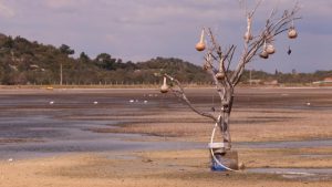 İzmir’de deniz suyu çekilmesi 50 metreyi buldu