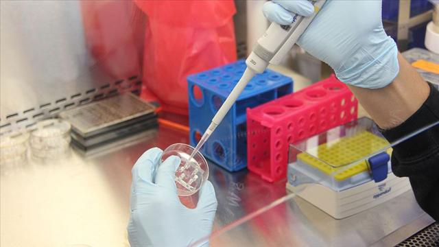 Türkiye, PCR test kiti üretiminde dünya sıralamasında ilk 3’te