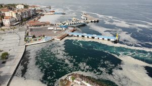 “Benim Marmaram Hayata Kavuşmalı!” Diyen Herkes İçin Marmara Kültürleri Ağı