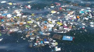 Plastik yiyoruz