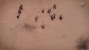 Fransa ve Rusya arasında toplu mezar tartışması başladı