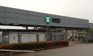 MSD Türkiye İnsan Kaynakları bölümünde görev değişimi