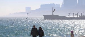 Türkiye Karadeniz’deki tahıl koridorunda ne rol oynayacak?