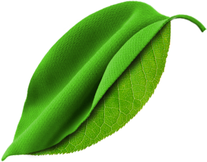 UTİB’in Ev Tekstili Tasarım Yarışması’na başvuru süresi uzatıldı