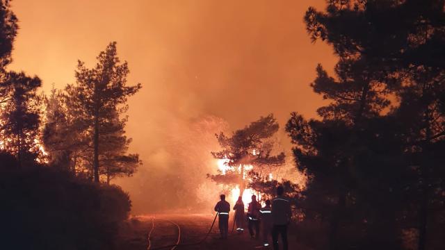 AFAD’dan Marmaris’teki orman yangınına ilişkin açıklama