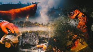 Yangın, Marmaris’i kömür karasına bürüdü