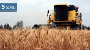 5 Soru: Ukrayna Tahıl Koridoru ve Türkiye’nin Diplomasisi