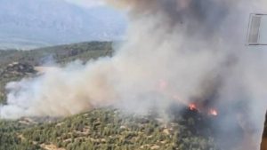 Aydın’da orman yangını