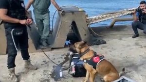 Tekirdağ Limanı’nda 242 kilo kokain ele geçirildi