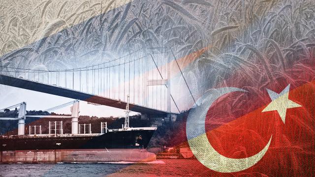 Tahıl koridoru için görüşmeler başlıyor
