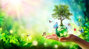 “2022-2 BİGG Yeşil Büyüme Çağrısı”nın Başvuru Süresi Uzatıldı!