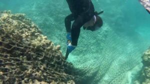 ABD’de çevre gönüllüleri denizi temizlemek için seferber oldu: 45 ton çöp toplandı