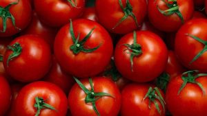Türkiye’de kişi başına israf edilen domates miktarı yıllık 570 kg