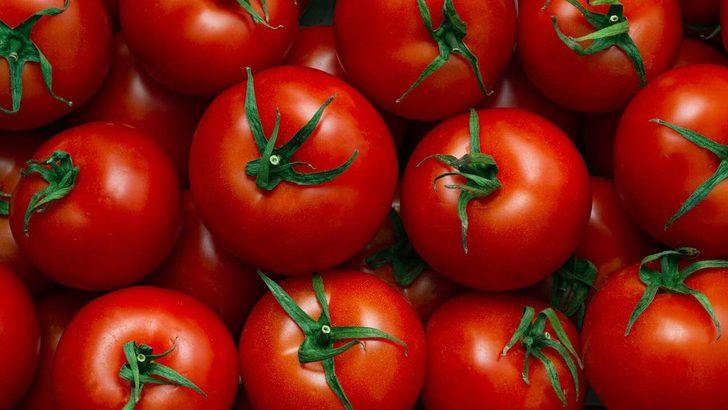 Türkiye’de kişi başına israf edilen domates miktarı yıllık 570 kg