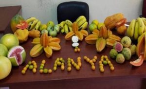 Alanya Belediyesi’nin, ilk kez Avokado Temalı ‘Tropikal Meyve Festivali’