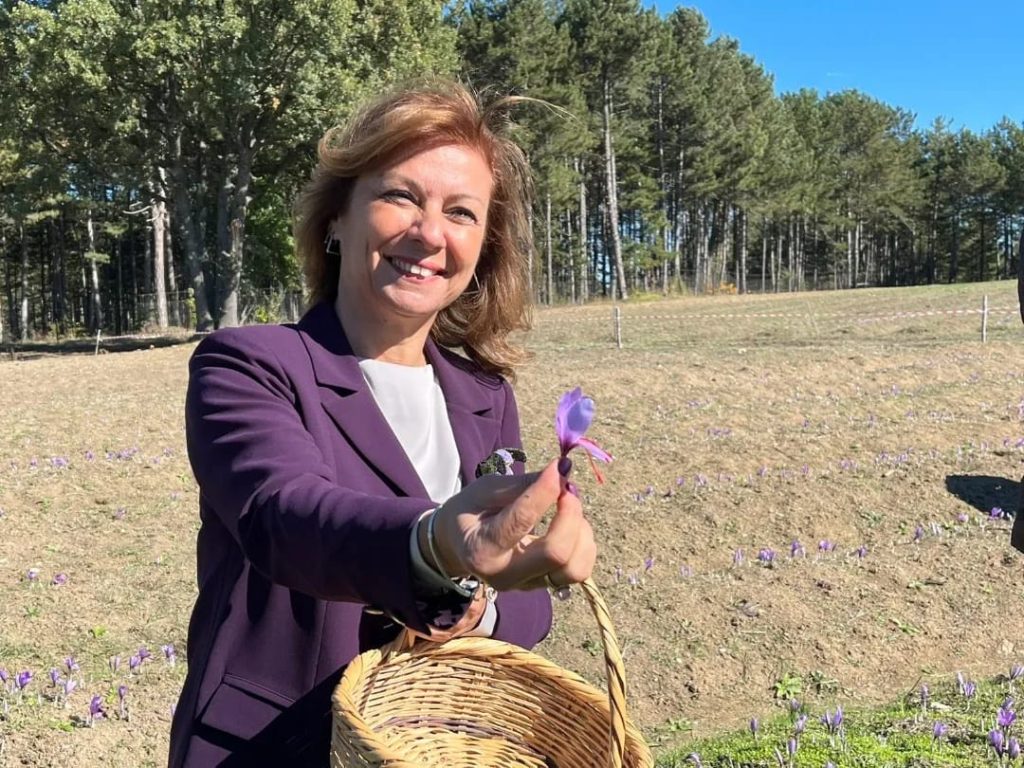 Safranbolu’da 6. Safran Festivali rüzgarı