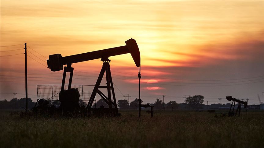 Suudi Arabistan: ABD, petrol üretim azaltımının 1 ay ertelenmesini istedi