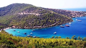 Muğla Büyükşehir Belediyesinin çevre dava sayısı 135’e çıktı