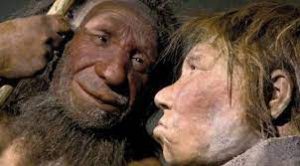 Araştırma: En eski yemek kalıntıları, neandertallerin gurme olduğunu gösteriyor