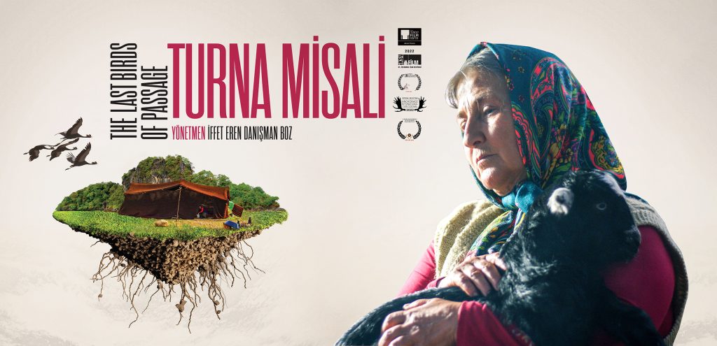 Yörük geleneğinin hayatta kalma mücadelesini konu alan bol ödüllü Turna Misali filmi Türkiye’de gösterime giriyor