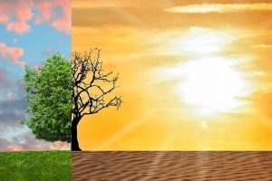 Su Politikaları Derneği Başkanı Yıldız: ”Su yoksa yönetilecek birşey kalmaz!”