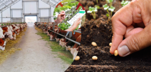 Bakan Yumaklı, “41 milyon 946 bin TL’lik destekleme ödemesi çiftçilerin hesaplarına yatırıldı”