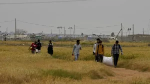 UNHCR, Suriyeli göçmenleri Lübnan’a gönderen Kıbrıs Rum yönetimine tepki gösterdi