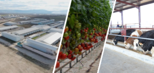 Tarım ve Orman Bakanı Yumaklı, “2028 yılında Sera OTB sayısını 100’e çıkarmayı hedefliyoruz”