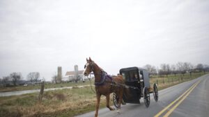 Amişlerin at arabası kaza yaptı: İki çocuk hayatını kaybetti