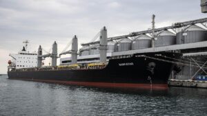 MSB: Tahıl Girişimi’nin devam etmesini temenni ediyoruz