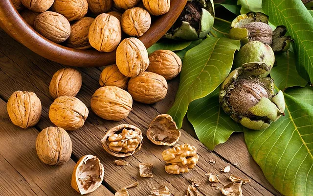 Prof. Dr. Şen: “Ceviz Nuts grubu sağlıklı beslenmenin olmazsa olmazıdır çünkü tohumdur”