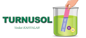 İslam dünyasının görünümü