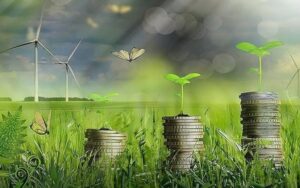 Araştırmacı Büşra Zeynep Özdemir, “Yeşil dönüşüme finansal destek: Türkiye Yeşil Fonu”