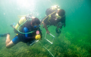 Marmara’nın son oksijen deposu kayıt ve koruma altında