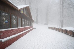 Kocaeli’nin Kartepe mesire alanında kar keyfi