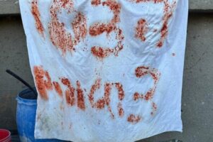 İsrail’in vurduğu beyaz bayraklı siviller: “Asla unutamayacağım”