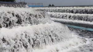 Türkiye’de 2023 en kurak yıl oldu, ancak İstanbul’da su tüketimi rekoru kırıldı