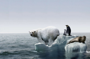 BM: Dünya küresel ısınma sınırını aşmaya hiç bu kadar yakın olmadı