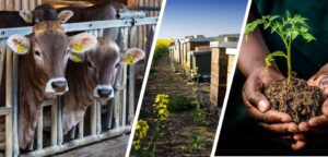 Çiftçilere 72,5 milyon liralık tarımsal destekleme ödemesi yapıldı