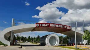 Fırat Üniversitesi 2024 yılında Yükseköğretimde Kapasite Geliştirme Programı kapsamında Türkiye’deki üç üniversiteden biri oldu