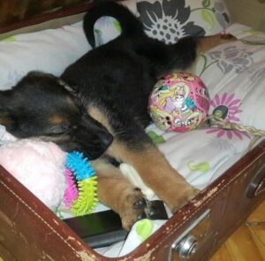 Gazeteci-Editör Onurkan Avcı’nın ‘Günün Getirdikleri!