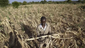 Güney Afrika’da aileler kızlarını yiyecek karşılığında evlendiriyor