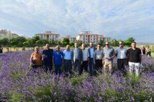 Tıbbi ve Aromatik Bitkiler Bahçesi’nde mevsimin ilk hasadı gerçekleştirildi