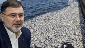 AK Parti İzmir İl Başkanı Bilal Saygılı: “CHP belediyeciliği siyasi felaketlerden sonra çevre felaketlerine de sebep olmayı ihmal etmiyor”