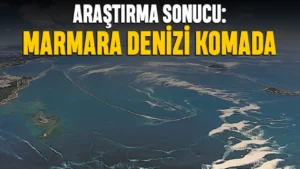 Prof. Dr. Mustafa Yücel, “Marmara’da azot, fosfor kirliliği artarak devam ediyor”
